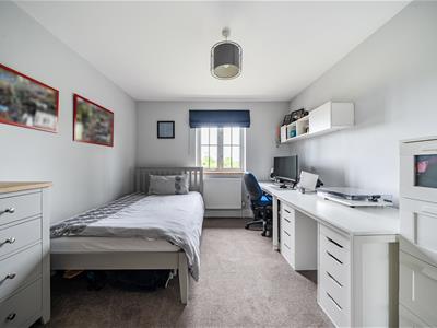 Picture 20